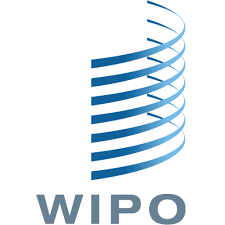 WIPO Uluslararası Patent Tescili